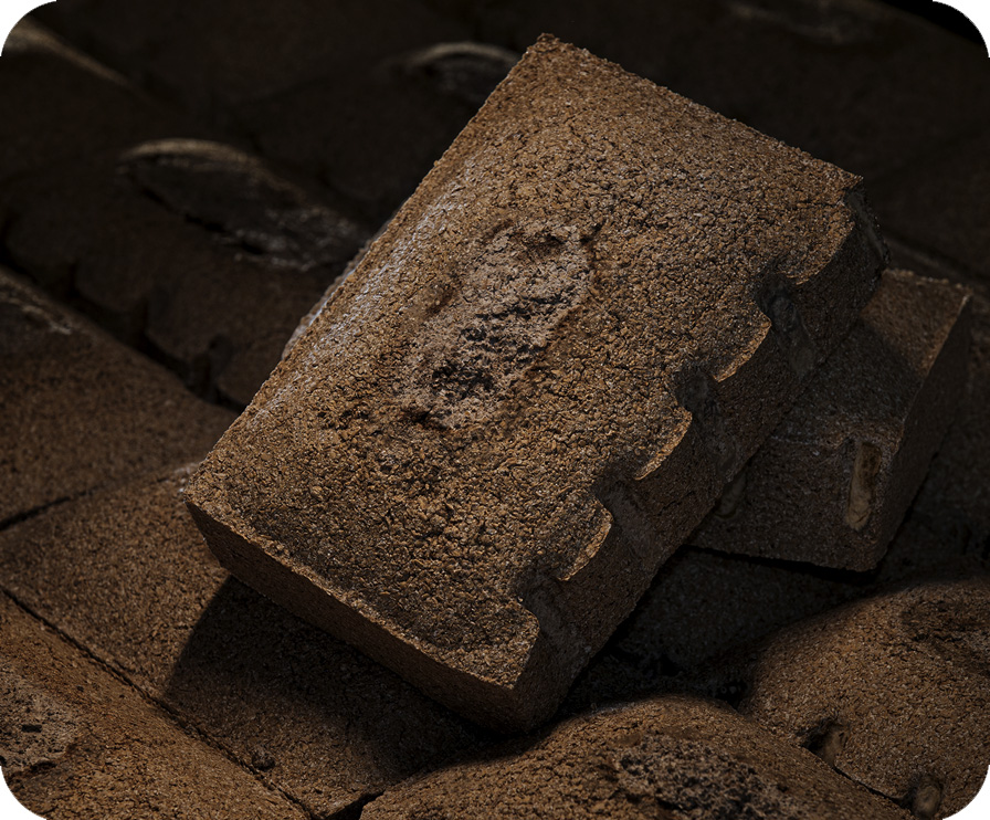 xc sports(中国区)-官方网站