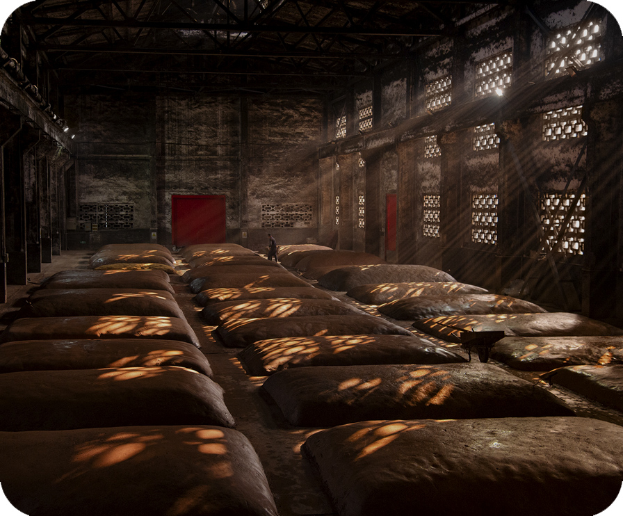 xc sports(中国区)-官方网站