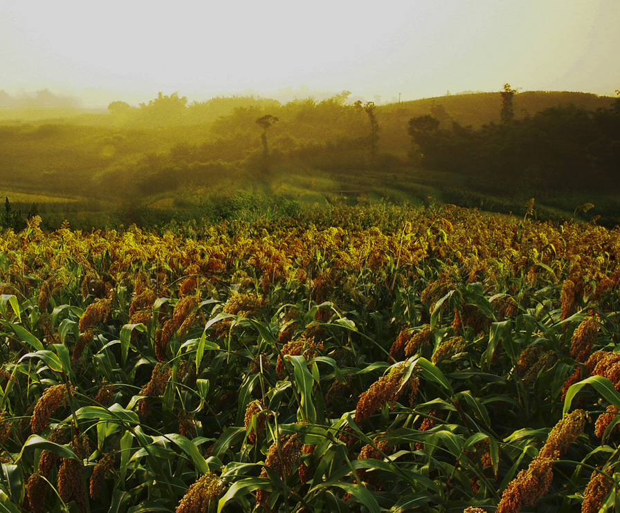 xc sports(中国区)-官方网站
