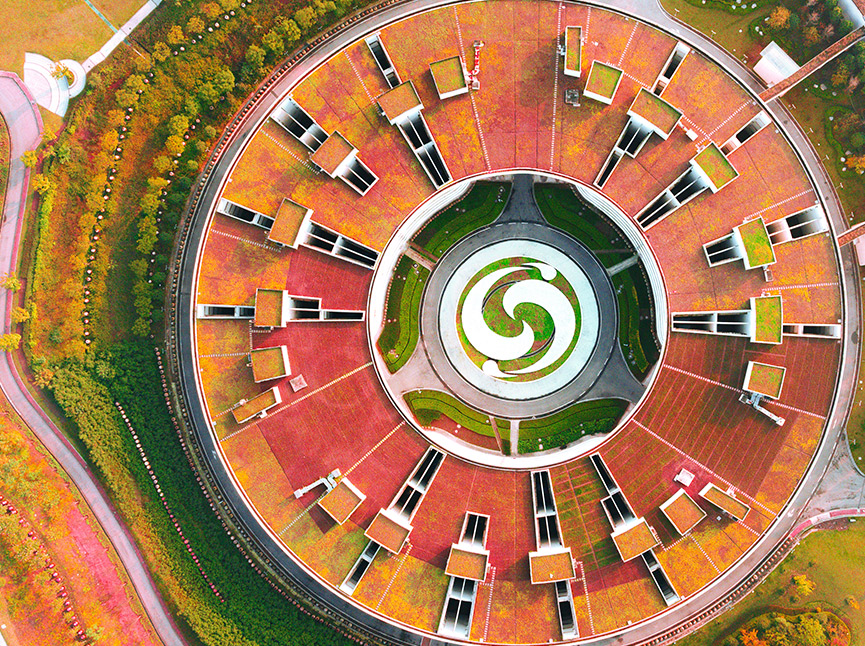 xc sports(中国区)-官方网站