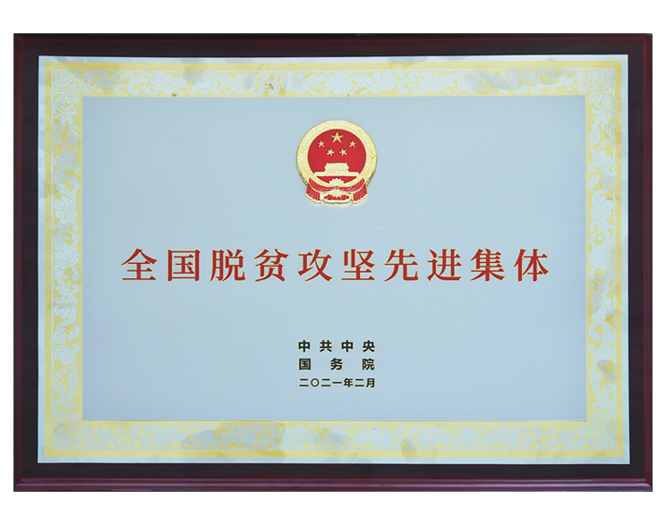 xc sports(中国区)-官方网站